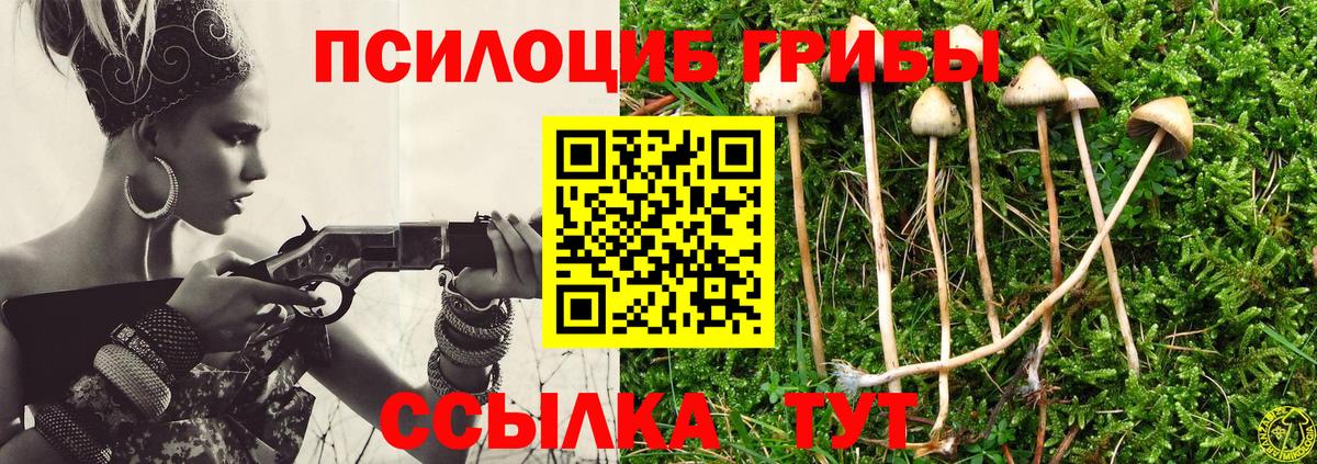 Псилоцибиновые грибы Psilocybine cubensis Комсомольск-на-Амуре